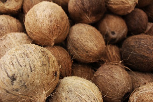 Close-up view of whole tropical coconuts with brown, rough shells, ideal for organic and nutritious themes.