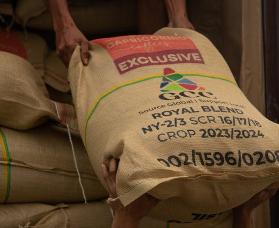 Hands loading sacks of coffee beans labeled Royal Blend for storage and transport.